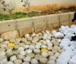 حرس الحدود يحبط تهريب مخدرات من لبنان ويصادر حشيشاً وكبتاغون في ريفي حمص ودمشق
