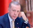 إردوغان يؤكد عزمه زيارة سوريا قريباً ودعم تركيا لاستقرارها