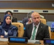 ‏”سوريا بلا مخيمات”.. دعوة المجتمع الدولي إلى تمويل التعافي بدلاً من المساعدات