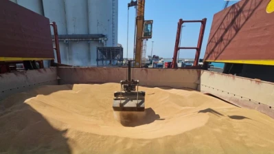 وصول أول شحنة قمح إلى مرفأ طرطوس منذ سقوط النظام السابق وسط تحذيرات من أزمة غذائية
