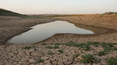 سوريا تواجه أسوأ موجة جفاف منذ 40 عاماً… ومحصول القمح ينهار