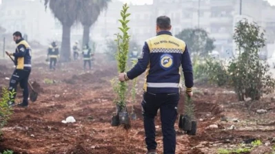 حملة "حمص خضراء من جديد" في الحولة وسؤال العدالة البيئية