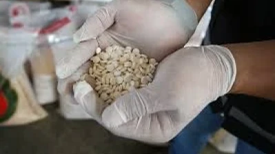 الإطاحة بشبكة مخدرات دولية بتعاون سوري عراقي