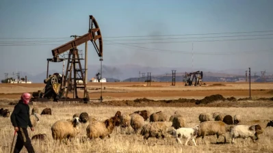 الجزيرة السورية… ثروات كبرى وفرصة تاريخية لإعادة بناء الاقتصاد