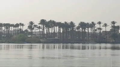 سورة النساء: دستور العدل وميزان المستضعفين