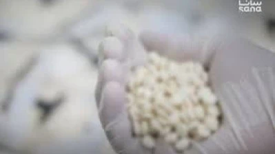 إحباط تهريب نصف مليون حبة كبتاغون وتوقيف المتورطين بعملية سورية–عراقية مشتركة