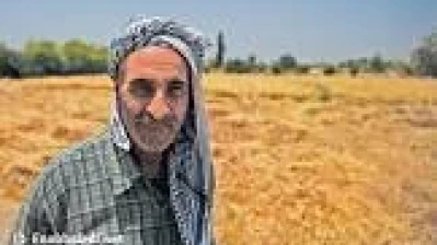 ارتفاع أسعار المحروقات وتهديد الموسم الشتوي في الريف السوري