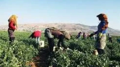 لوموند: رحيل اللاجئين السوريين يترك فراغا في لبنان