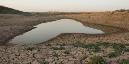 سوريا تواجه أسوأ موجة جفاف منذ 40 عاماً… ومحصول القمح ينهار