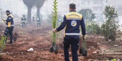 حملة "حمص خضراء من جديد" في الحولة وسؤال العدالة البيئية