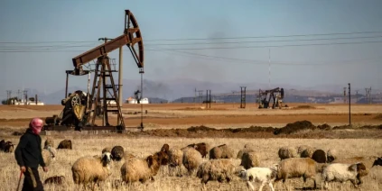 الجزيرة السورية… ثروات كبرى وفرصة تاريخية لإعادة بناء الاقتصاد