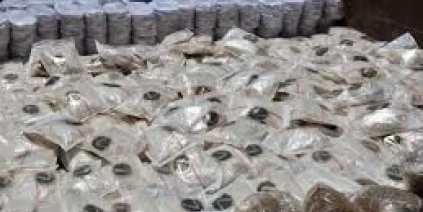 حرس الحدود يحبط محاولة تهريب مواد مخدرة على الحدود السورية اللبنانية