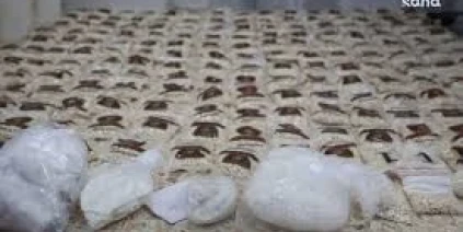 الداخلية تضبط شبكة لتجارة المخدرات في جرمانا وتصادر كميات كبيرة من المواد المخدرة