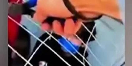 الكشف عن عصابة خطف اطفال واستعادة 163 طفلاً مفقوداً، في امريكا