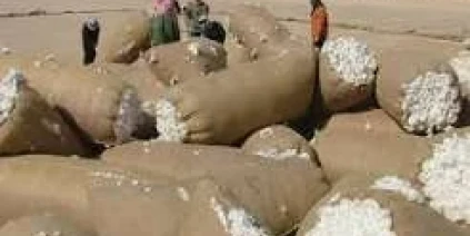 عودة المحالج.. الحلقة الأولى في استعادة القطاع
