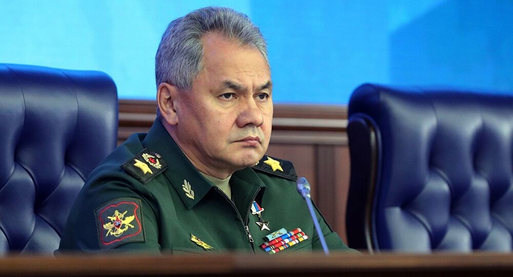وزير الدفاع الروسي سيرغي شويغو (سبوتنيك)