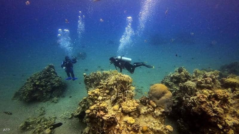 حماية الشواطئ والبيئة المائية في البحر الاحمر