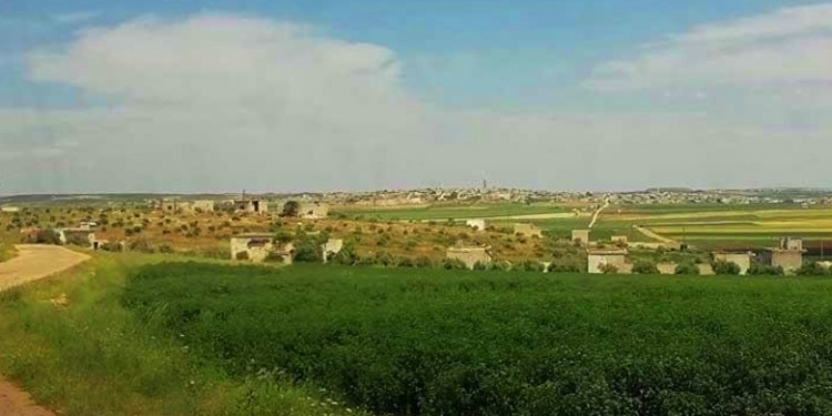 الاراضي الزراعية في ريف حماة