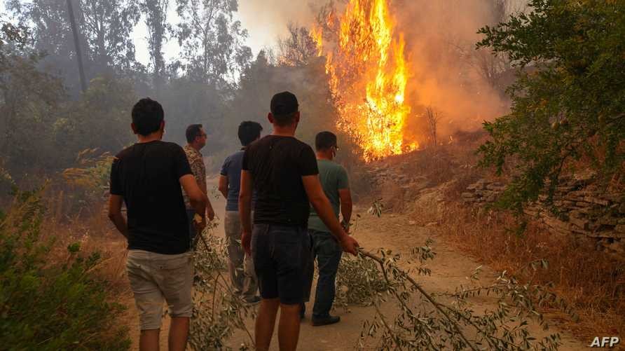 حرائق الغابات في تركيا (إنترنت)