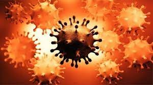 فيروس كورونا المتحور