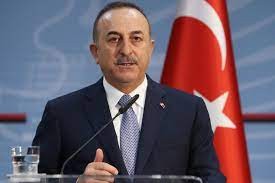 وزير الخارجية التركي مولود جاويش إوغلو