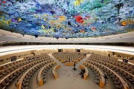 مجلس حقوق الانسان