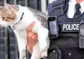 شرطي فرنسي يحمل قطة ضائعة ويعيدها لصاحبها