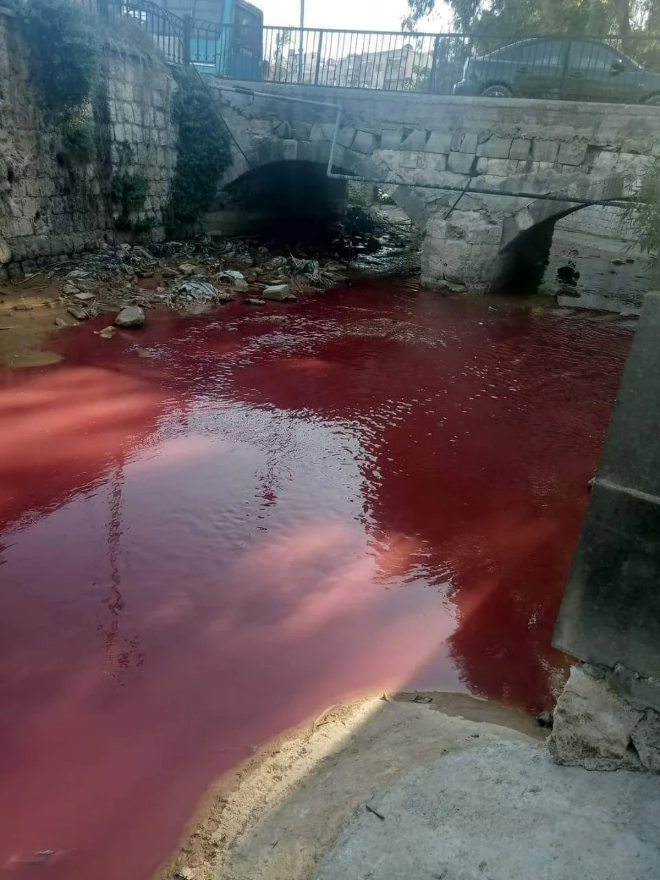 مياه نهر بردى في دمشق