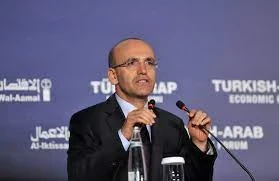 وزير المالية التركي