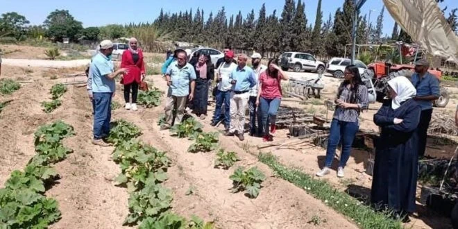 يوم حقلي في شبعا يؤكد أهمية الزراعة ودور الموارد الوراثية/ سانا