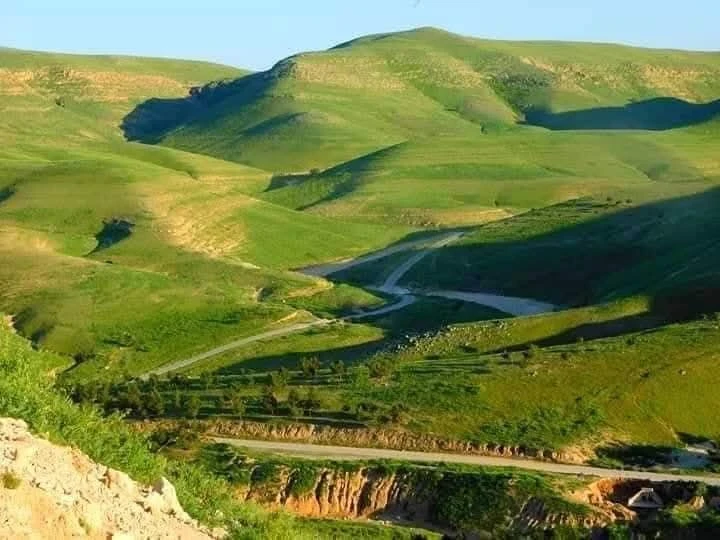 جبل عبد العزيز