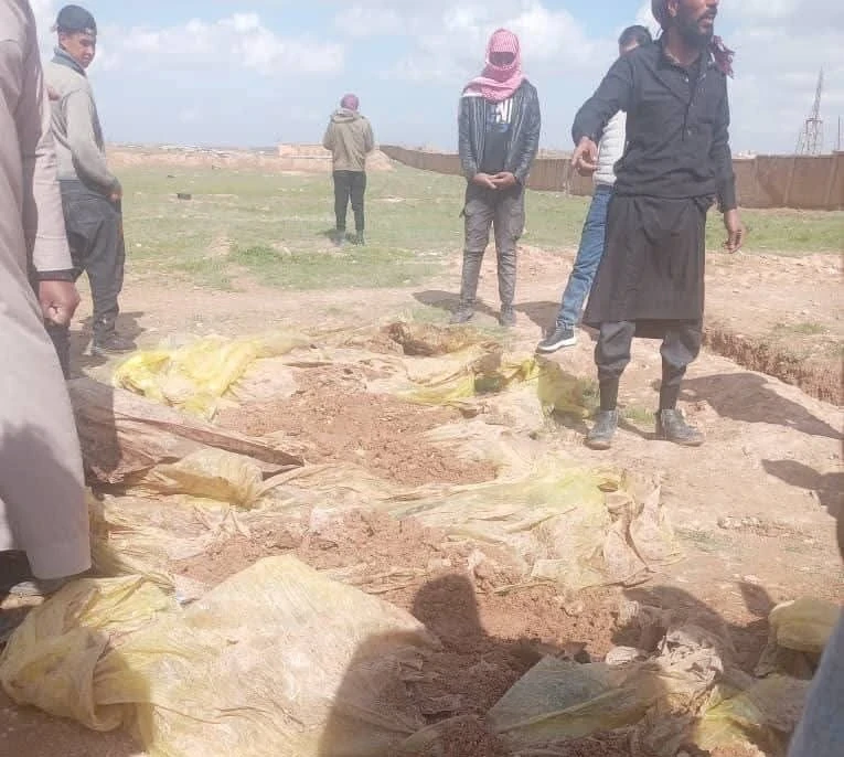 مصدر الصورة (مواقع التواصل)