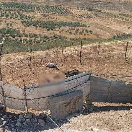 الاحتلال الاسرائيلي يستكمل خط سوفا 53  جنوب سوريا