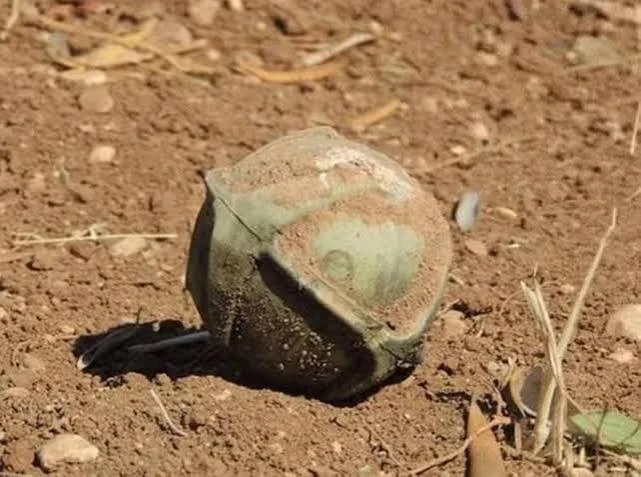 قنبلة عنقودية