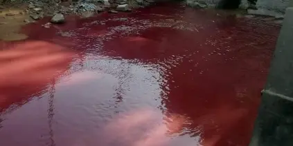 مياه نهر بردى تصطبغ باللون الأحمر