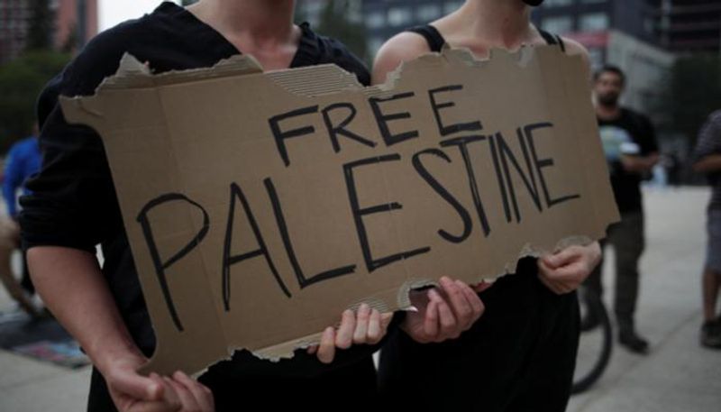 جانب من اللافتات التي حملها المناصرون لفلسطين